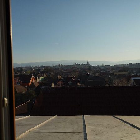 Pensiunea Flamingo Sibiu Exterior photo